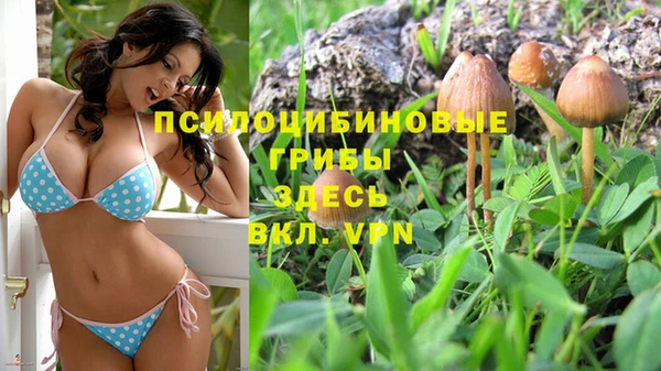 mdma Белокуриха